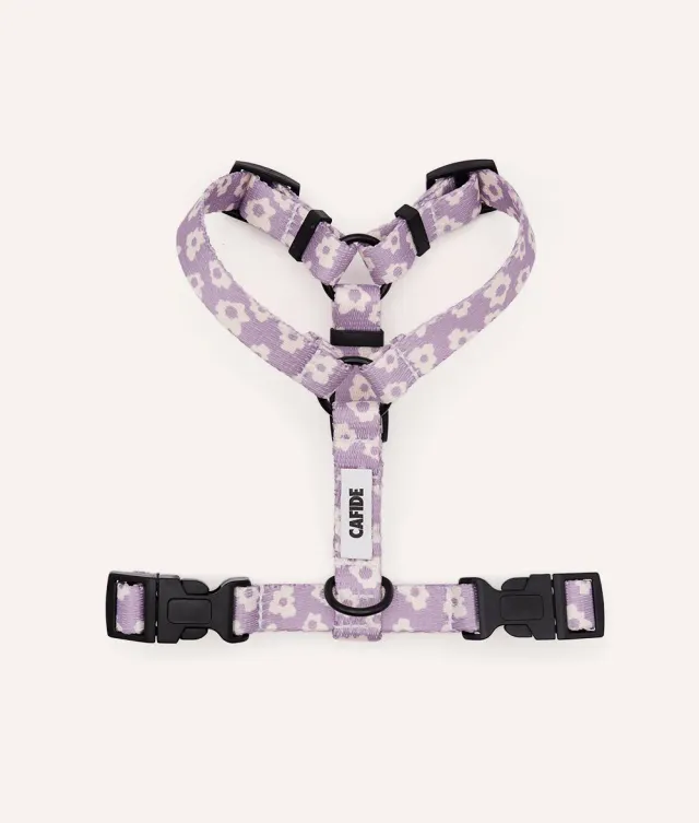 Cafide Juno hundesele violet genbrug
