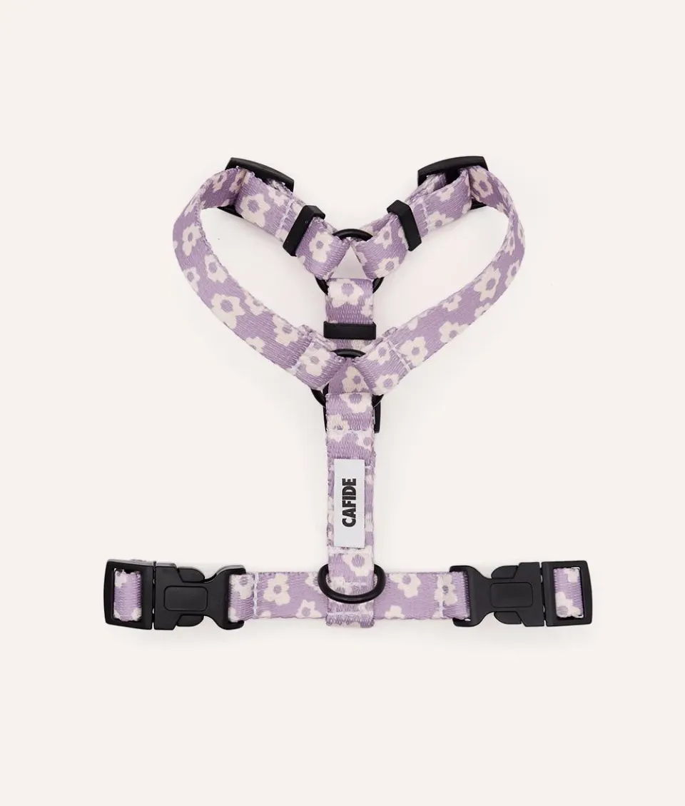 Cafide Juno hundesele violet genbrug