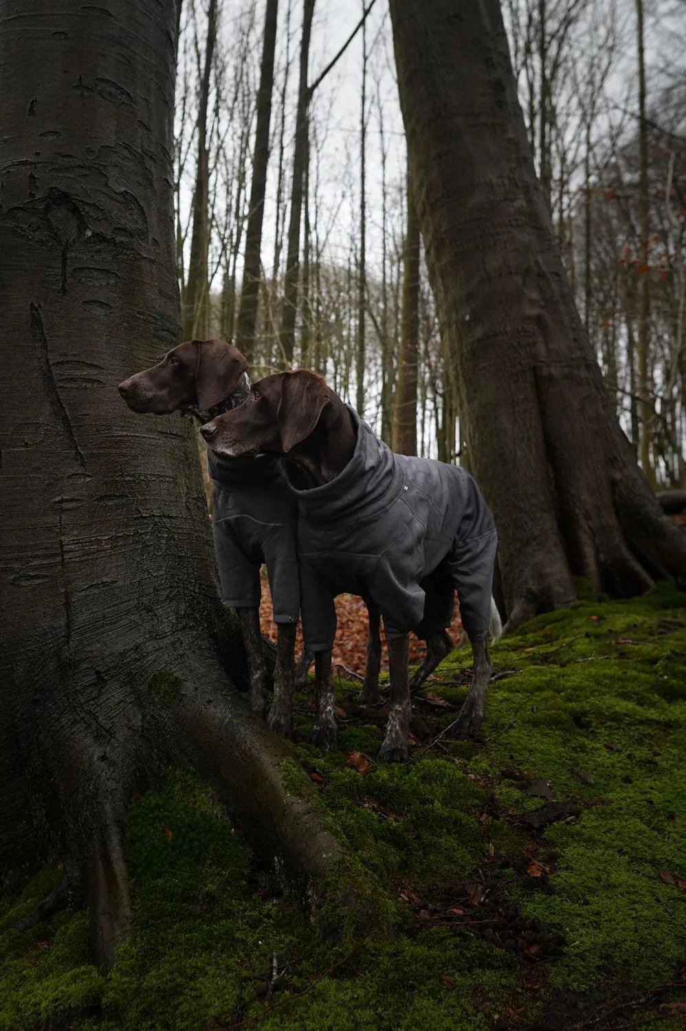 Hurtta Midlayer Overall hundedragt blackberry varm