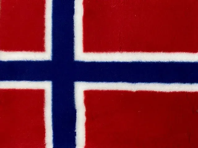 Vetbed Norsk Flag hundetæppe skridsikker 75x100