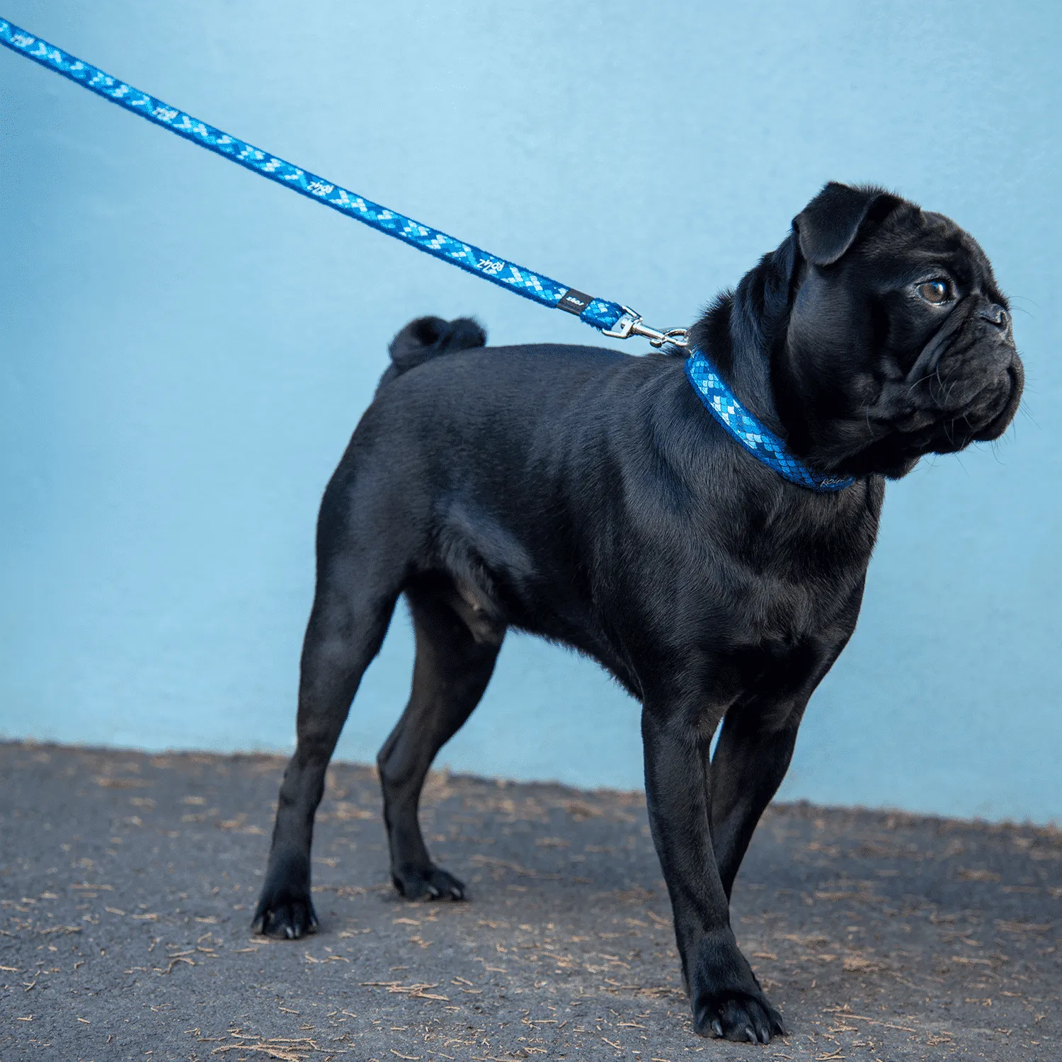 Rogz Fashion Classic hundesnor slidstærk