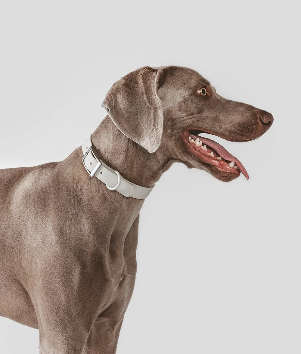 Cafide Gala hundehalsbånd beige justerbart