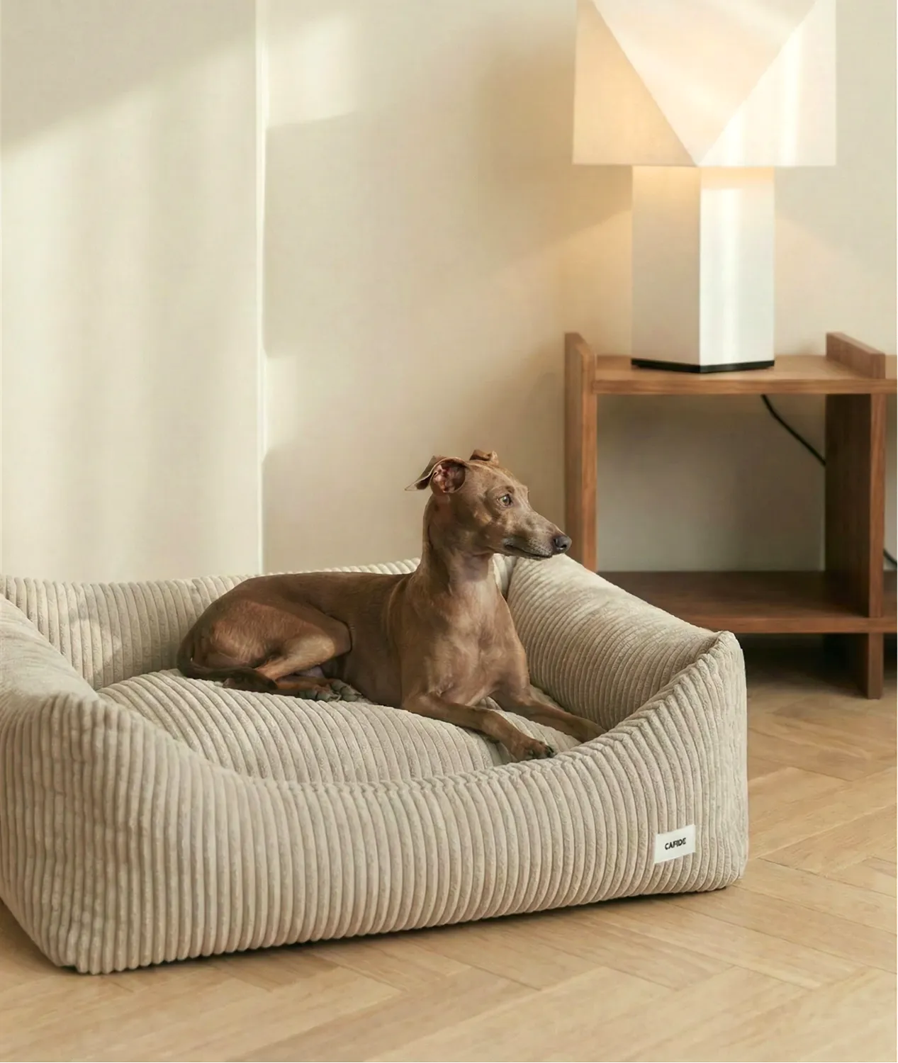 Cafide Snozy hundeseng beige fløjl S M L