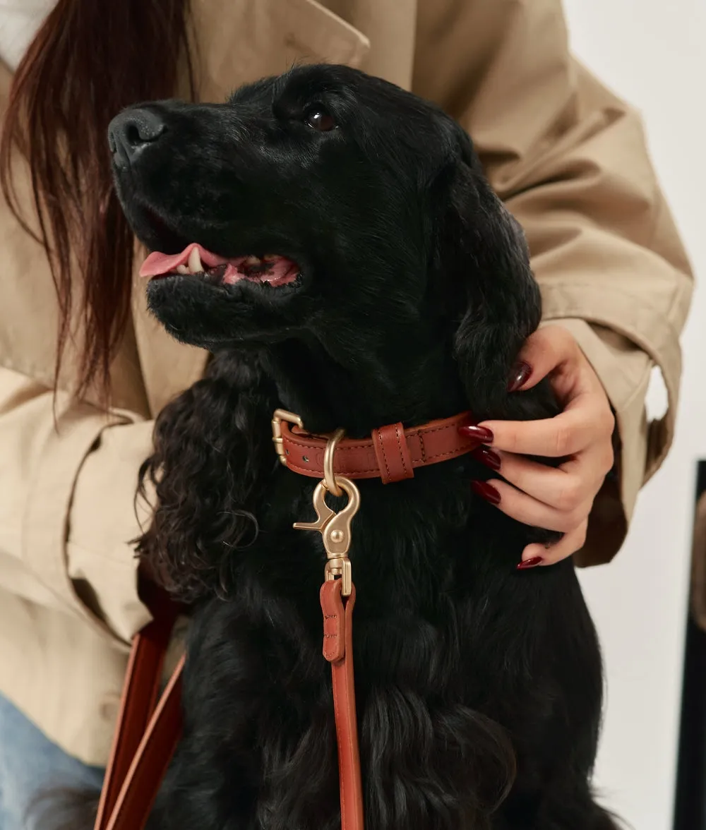 Cafide Jala hundehalsbånd brun vegansk læder