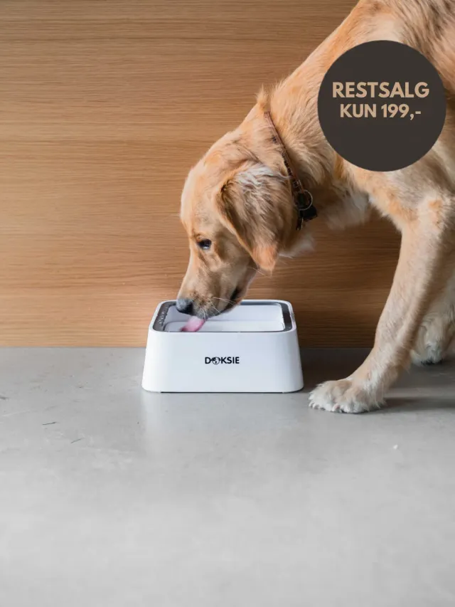 Doksie Auto A2 vandskål spildfri til hund