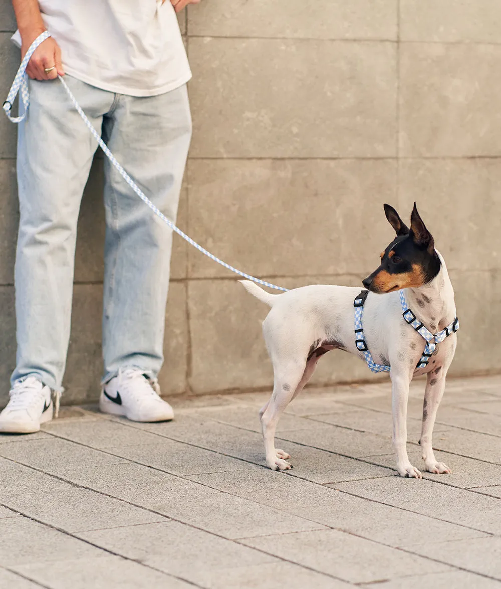 Cafide Juno hundesnor blå vichy 1,2 m genbrug