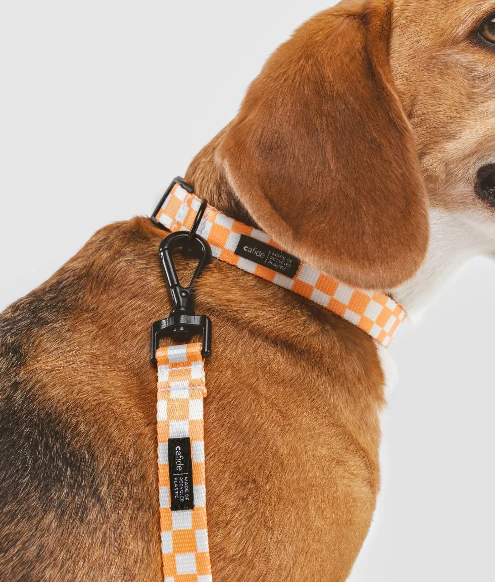 Cafide Juno hundehalsbånd S fersken orange genbrug