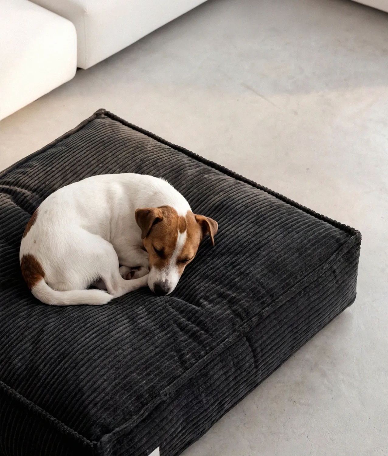 Cafide Cuadra hundeseng sort fløjl M 76x60x15