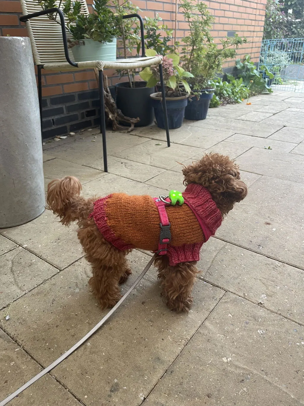 Hurtta Casual Y-Harness hundesele Raven 60-70 vandafvisende
