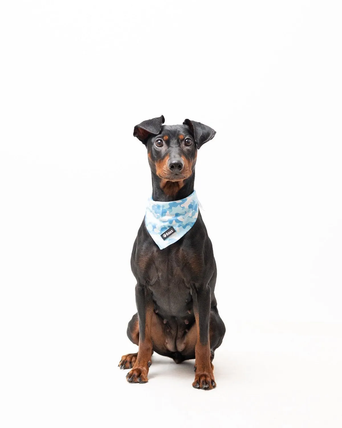 Tazz Blue Camo bandana M blå camouflage