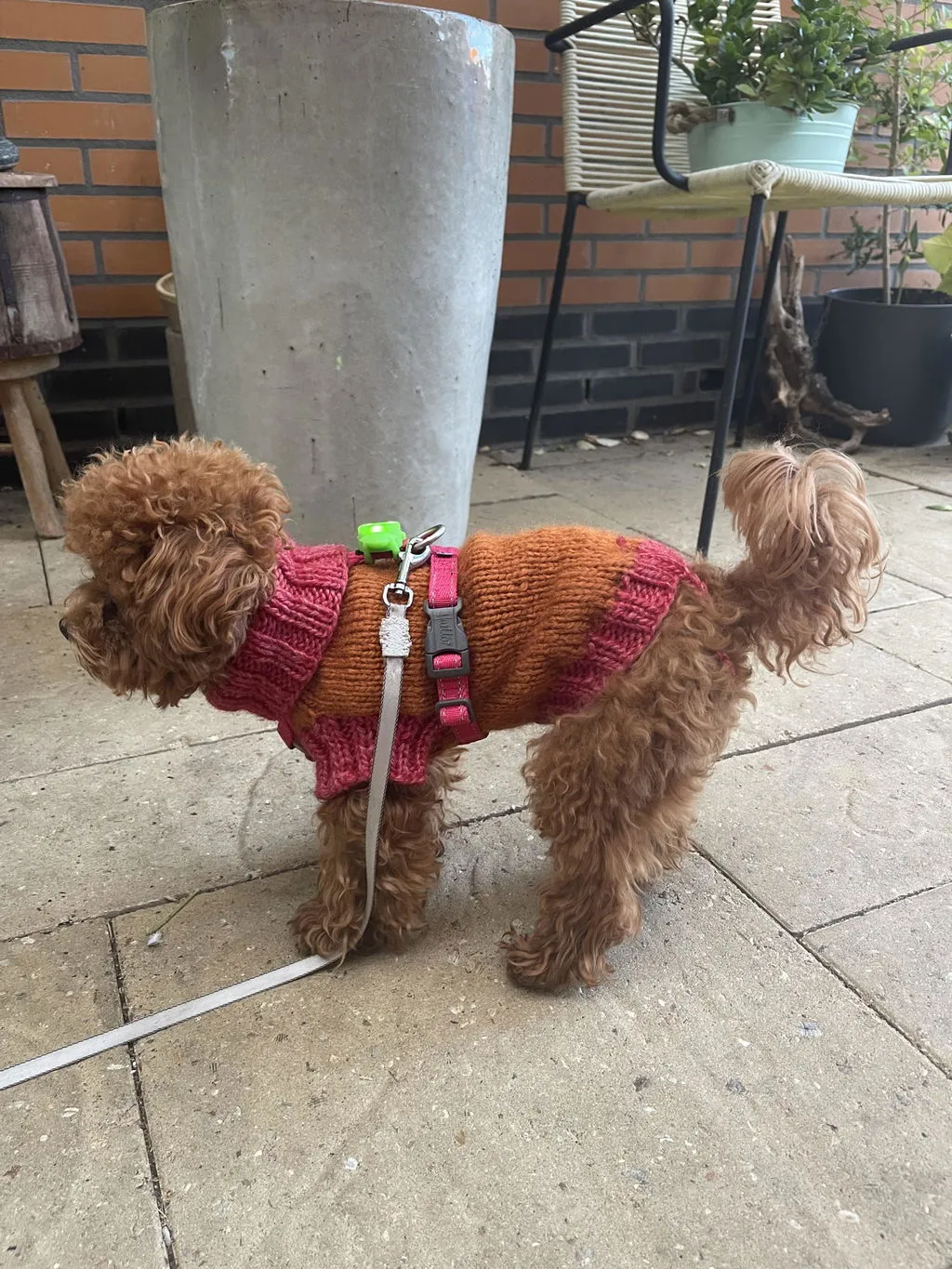 Hurtta Casual Y-Harness hundesele Raven 60-70 vandafvisende