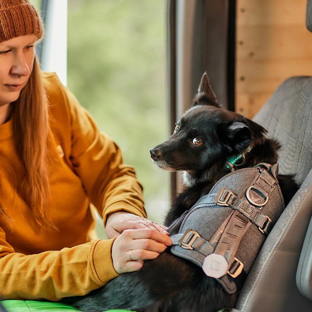 Hurtta Travel hundesele Blackberry 10-20 kg crash-testet