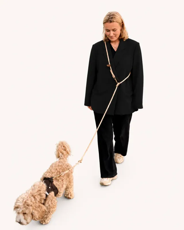 Doksie Gåtur-pakken hundesnor skål sort 240 cm