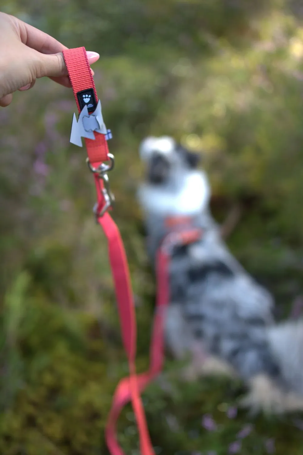Hurtta Multilong II hundesnor blackberry 100-300
