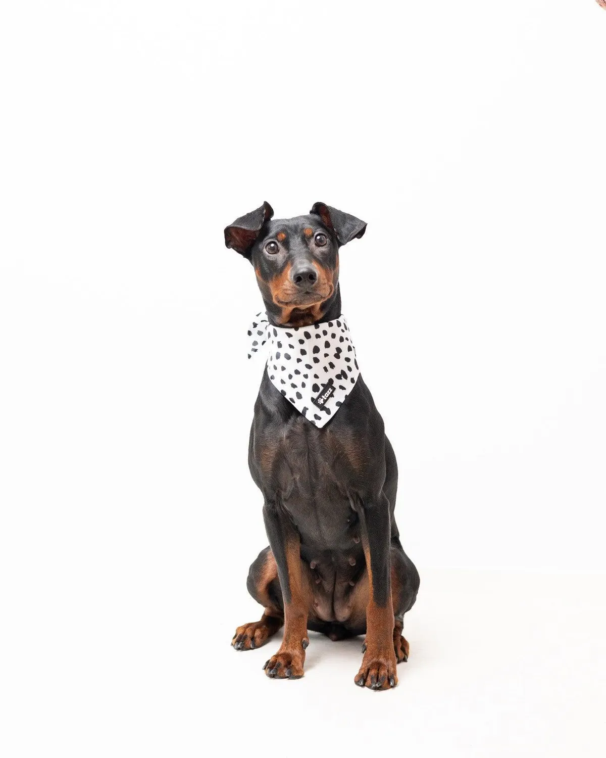 Tazz Spots on Run bandana til hund hvid