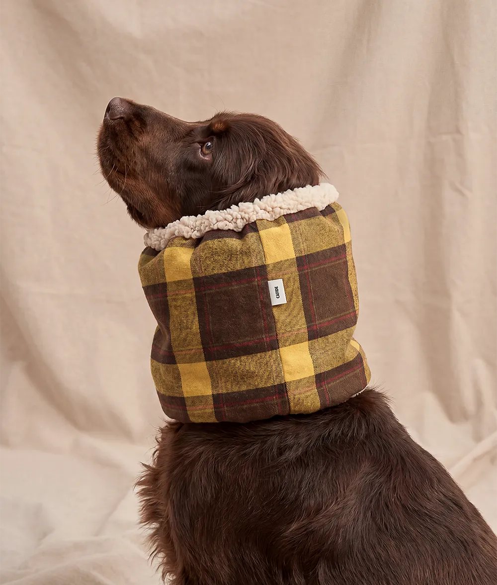 Cafide Olga Tartan Mustard snood til hund varm