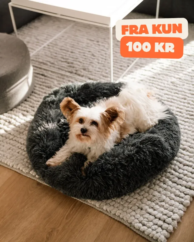 Doksie Cloud C1 donut hundeseng graphite