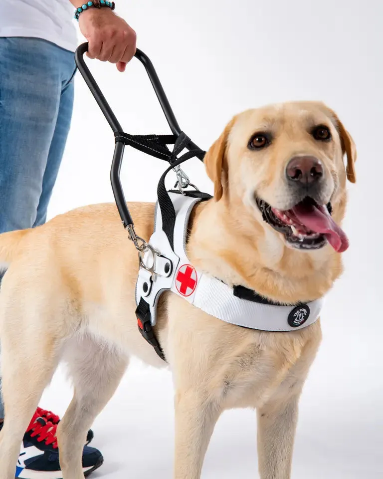 Tre Ponti Mentor førerhundesele sort str. L ergonomisk