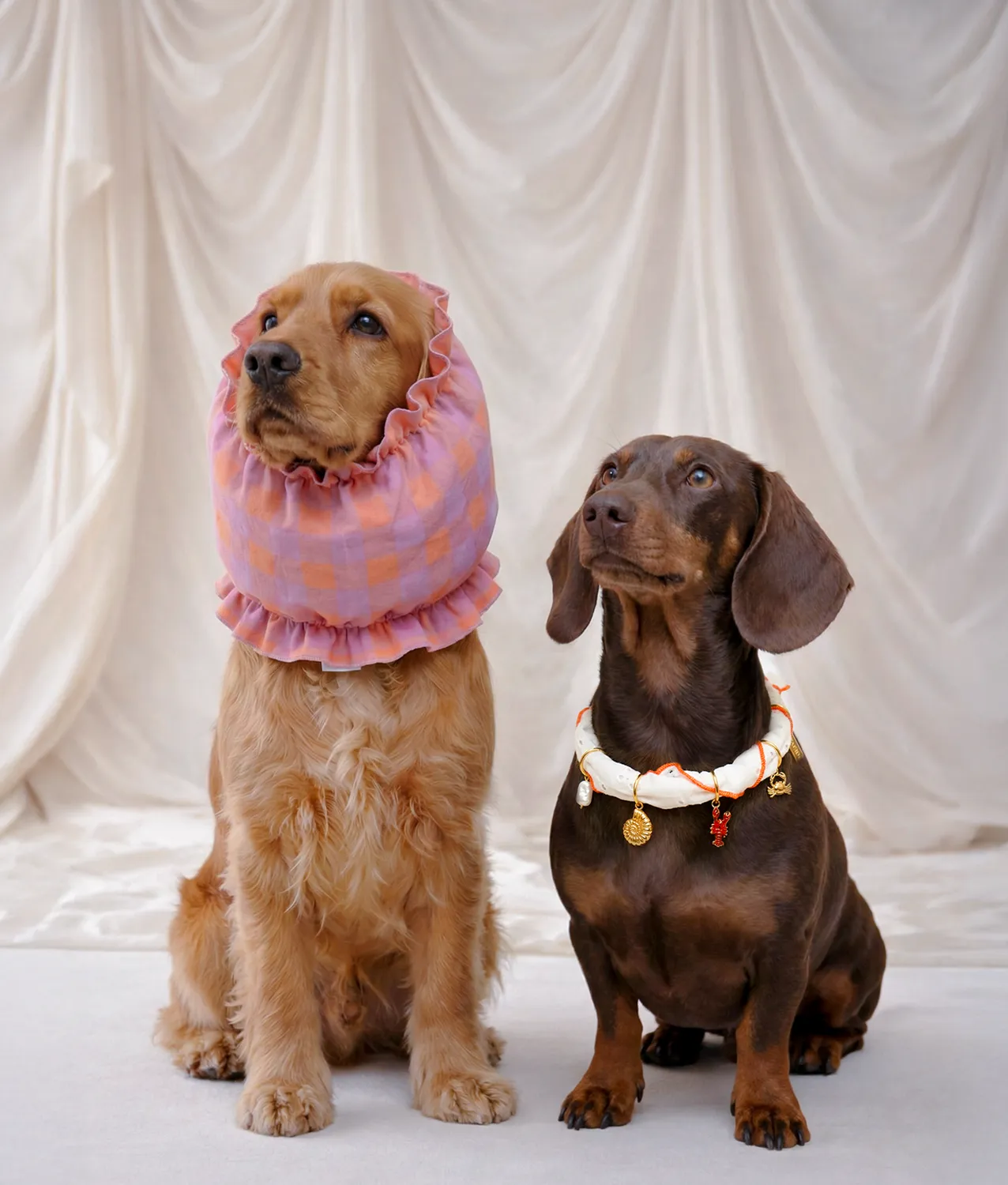 Cafide Olga snood violet M hundeørebeskytter