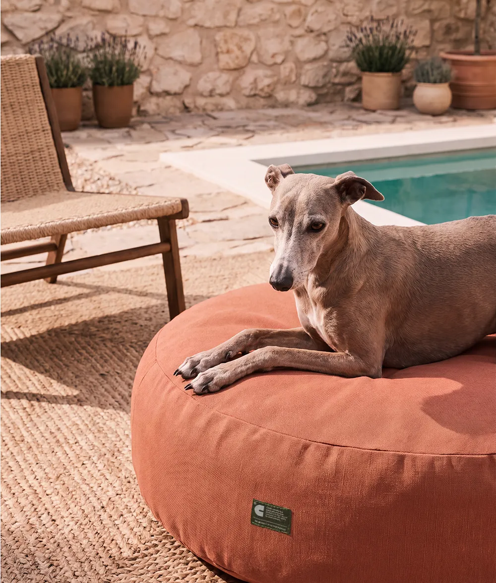 Cafide Calos hundeseng terracotta ude inde vaskbar
