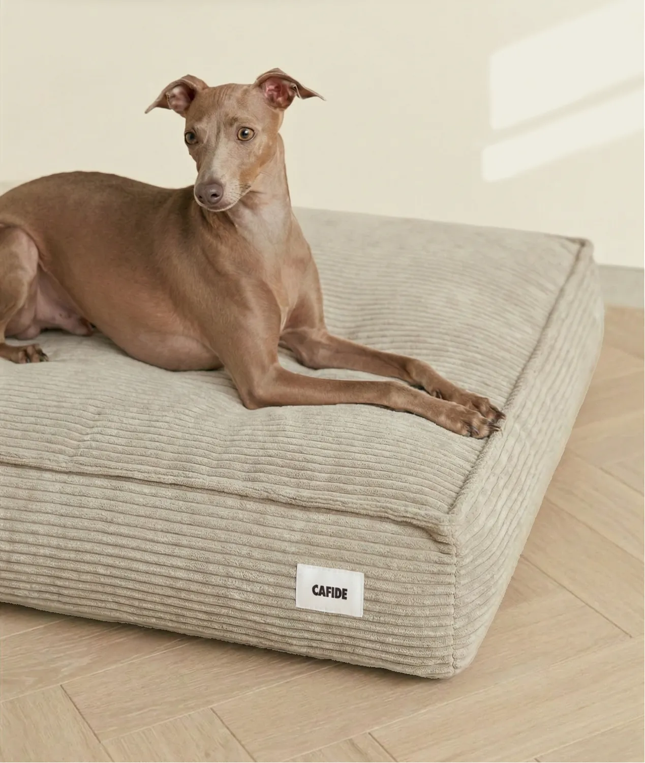 Cafide Cuadra beige hundeseng i fløjl