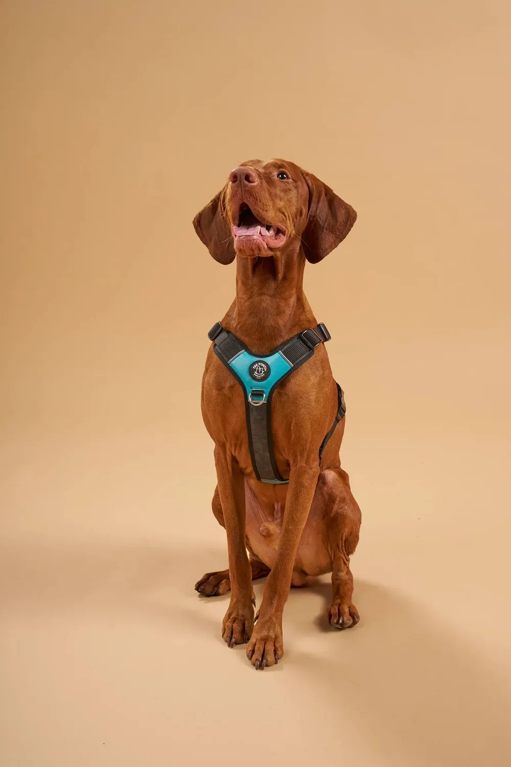 Tre Ponti Harmonia hundesele stor vandtæt