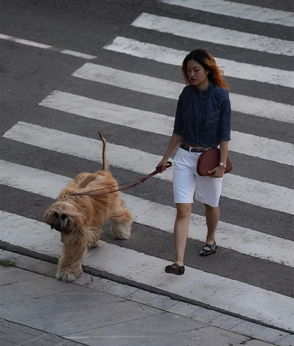 Cafide Jala brun toilettaske til hund vegansk