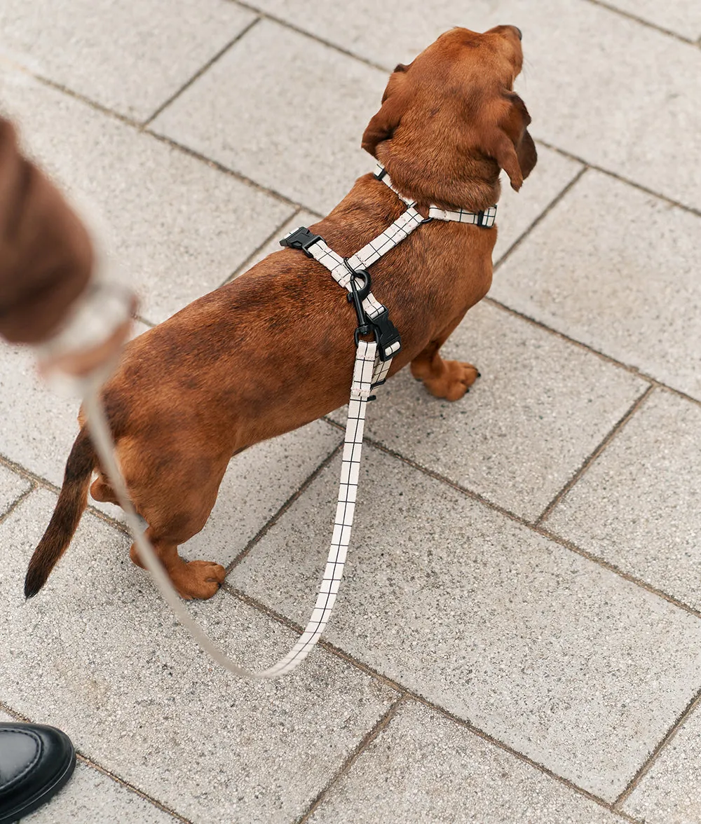 Cafide Juno Beige Line hundesnor 1,2 m genbrug