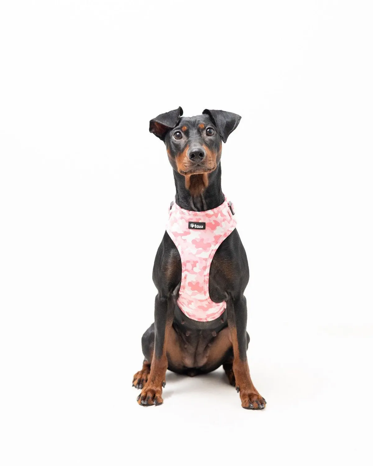 Tazz Pink Camo hundesele lyserød justerbar XXS-L