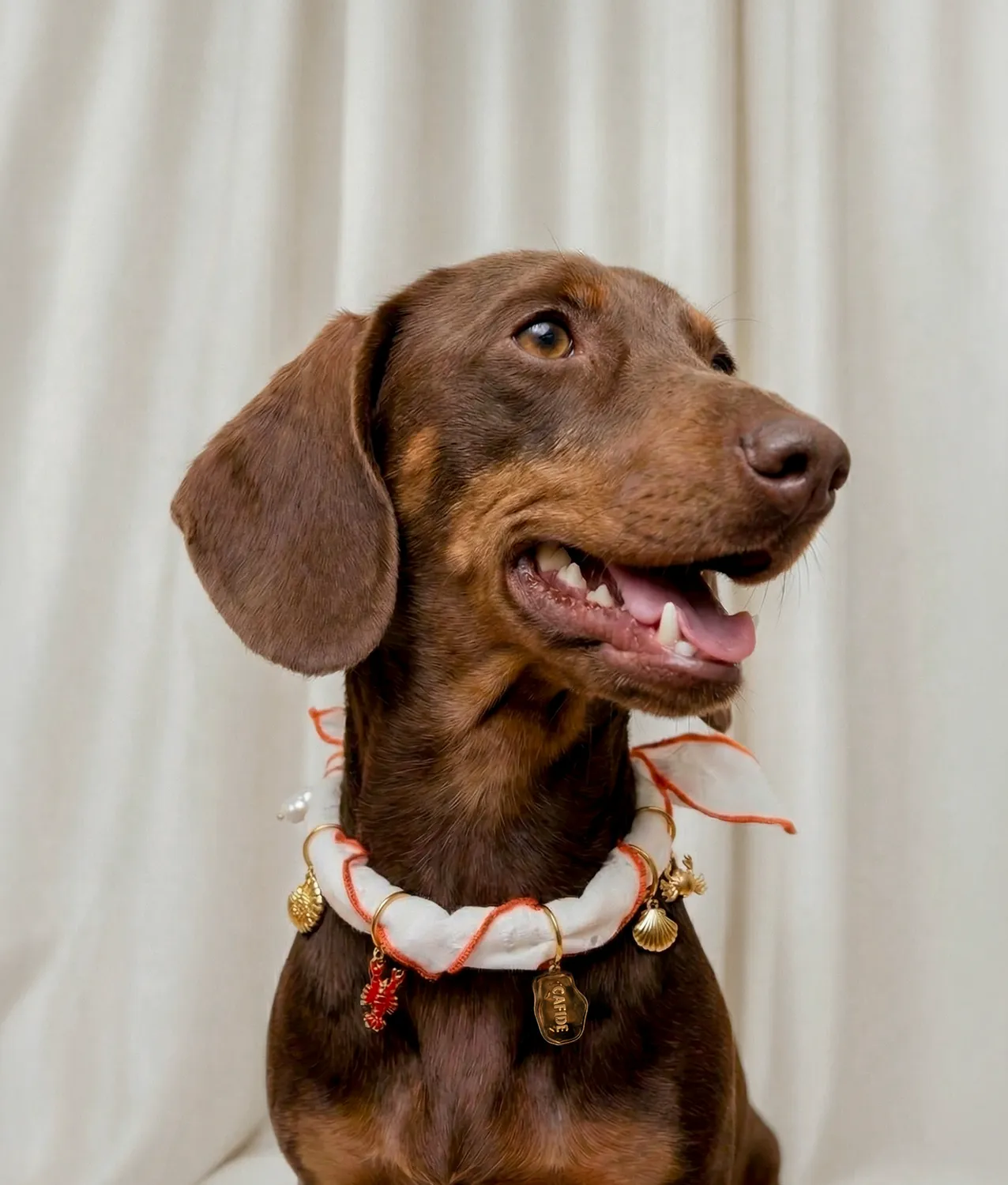 Cafide Sira Coral Broderie hundebandana med charms