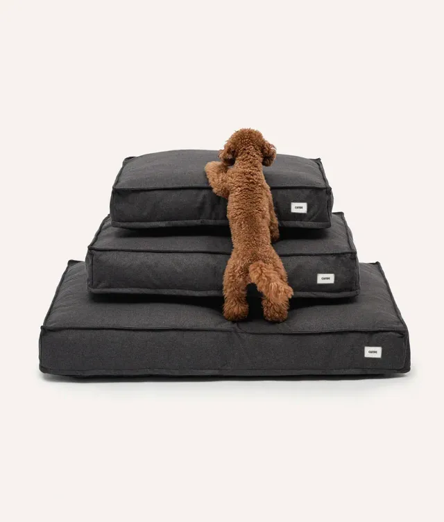 Cafide Cuadra Anthracite hundeseng sort vaskbar