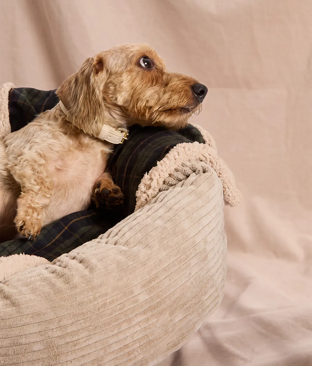 Cafide Toia Green Tartan hundetæppe sherpa