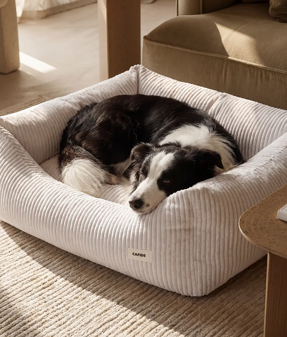Cafide Snozy hundeseng benhvid fløjl