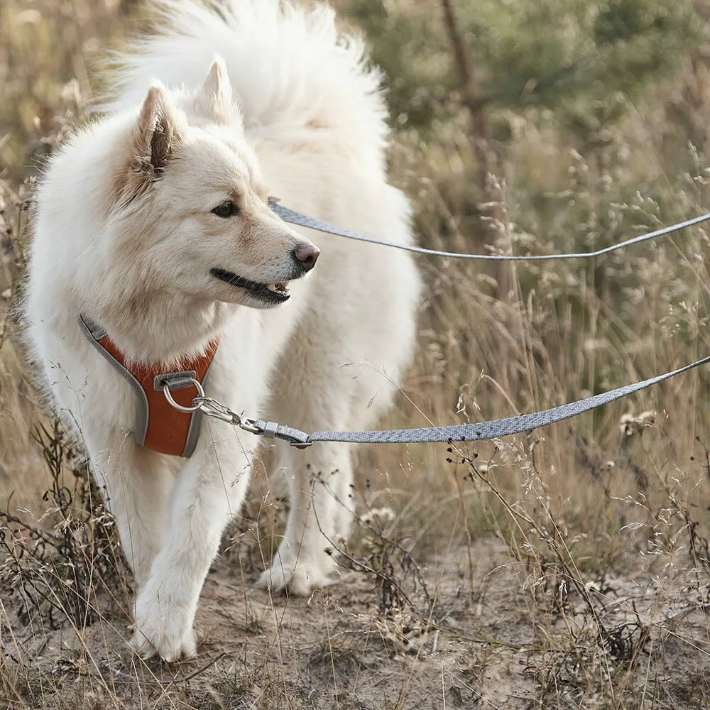 Hurtta Venture No-Pull hundesele Shadow 45-60 anti-træk