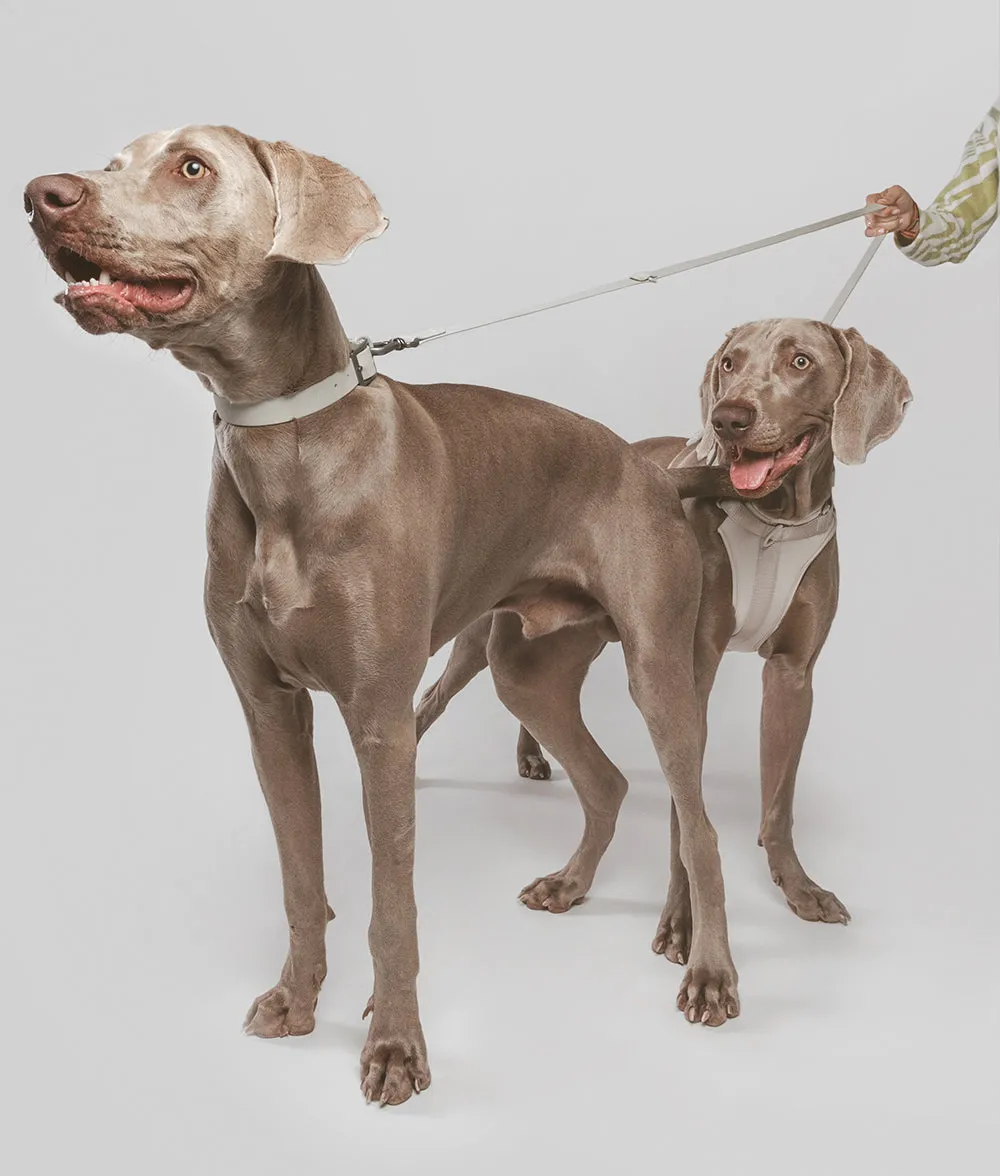 Cafide Gala hundehalsbånd beige justerbart