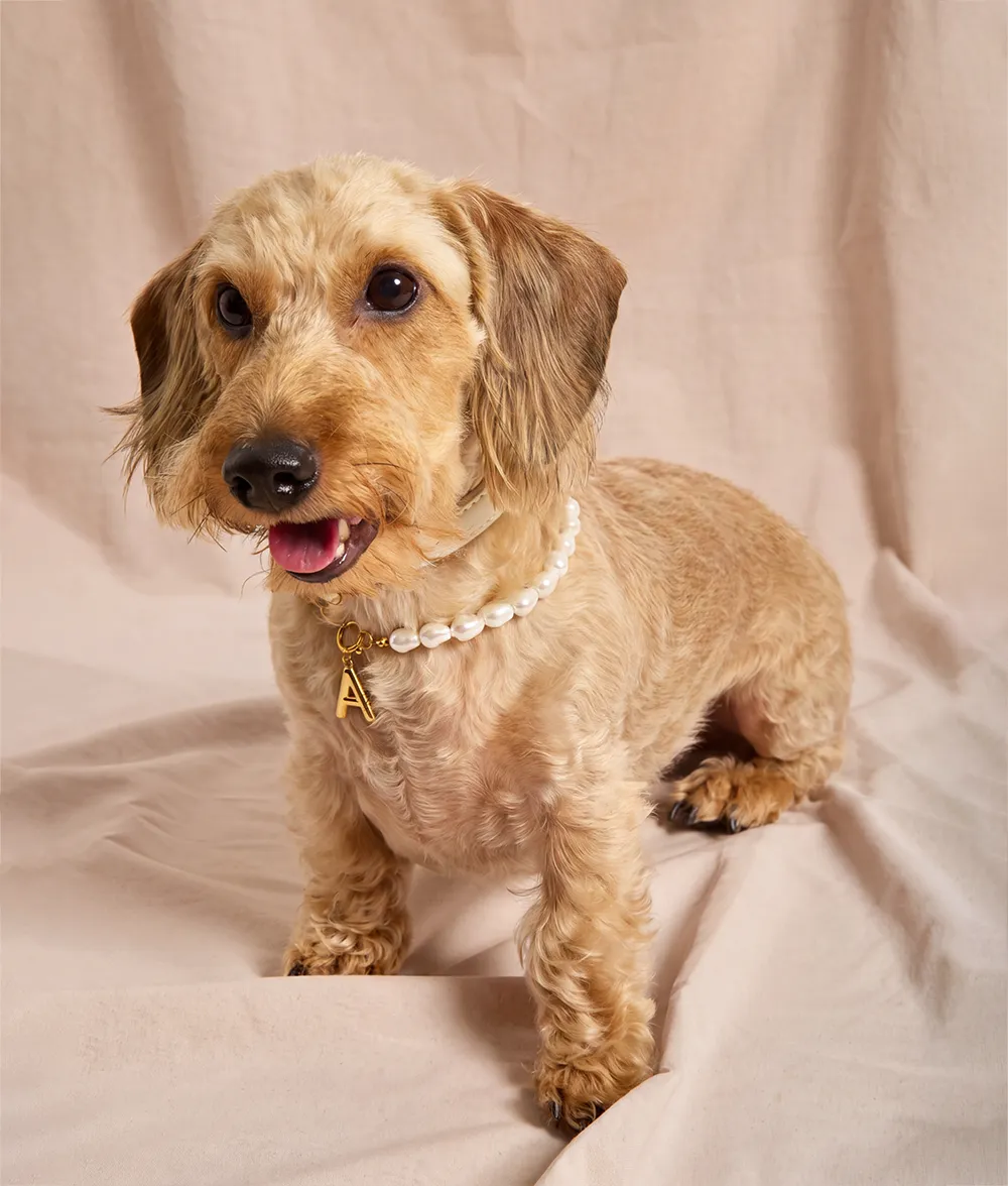 Cafide Sira Sira hundehalsbånd guld perler bogstav