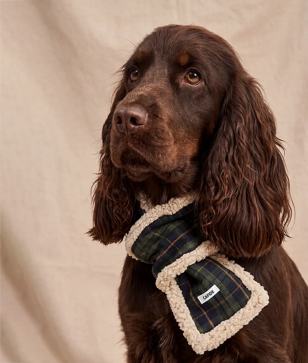 Cafide Mica Tartan Green hundetørklæde M grønt ternet