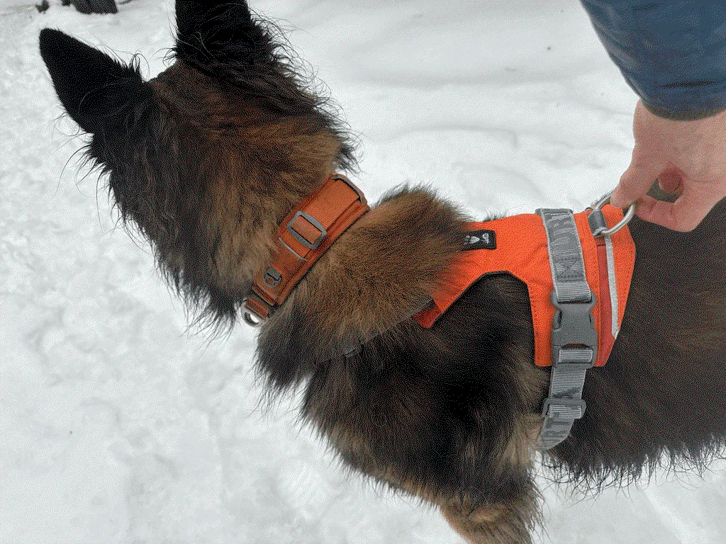 Hurtta Rover hundesele Forest 65-80 til store hunde