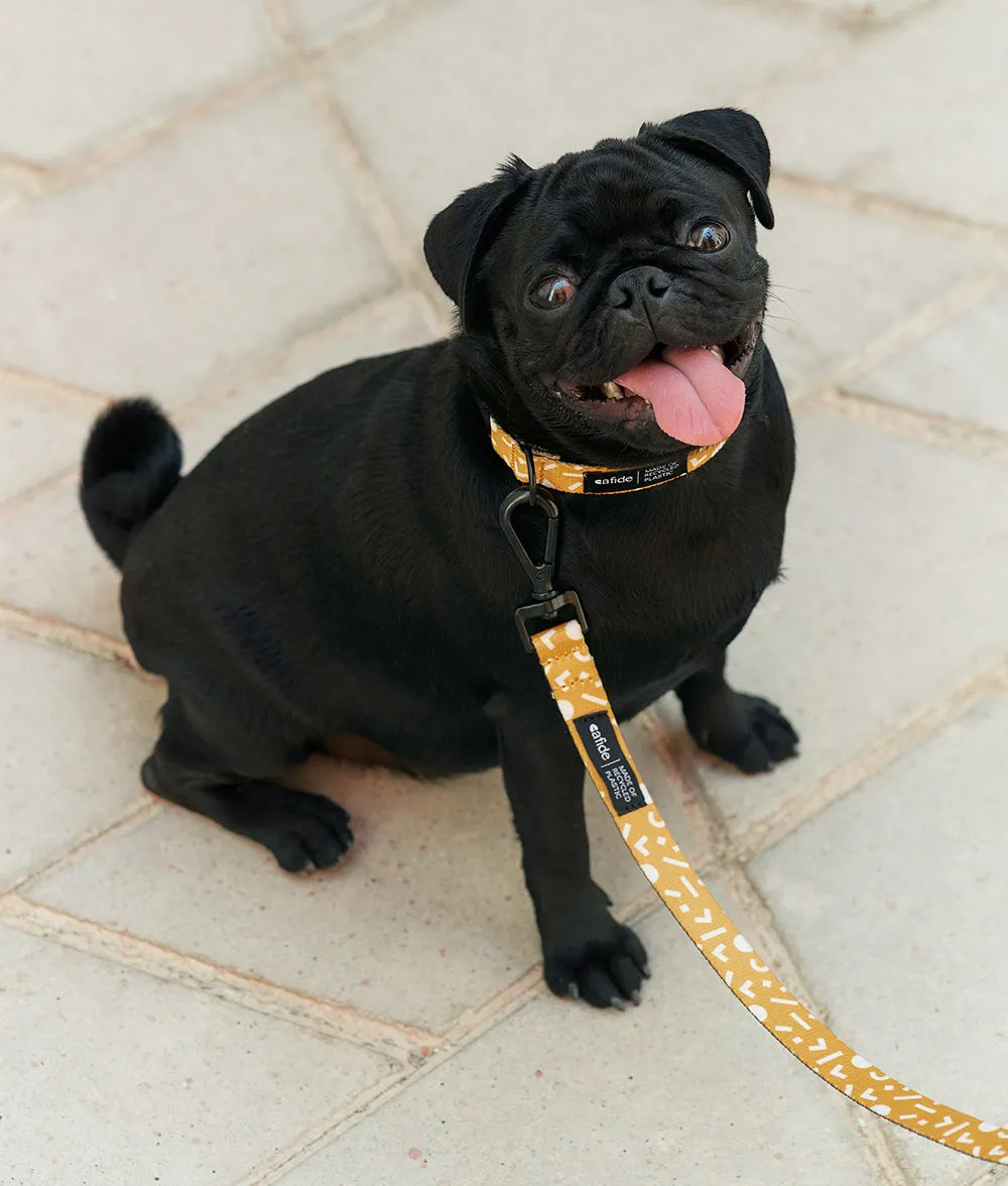 Cafide Juno Memphis Mustard hundesnor 1,2 m sennep mønster
