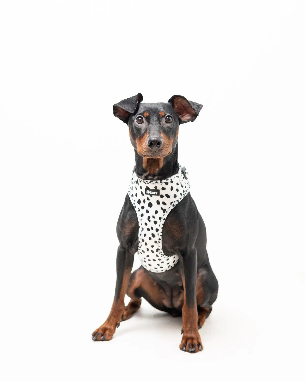 Tazz Spots on Run sele hvid med pletter