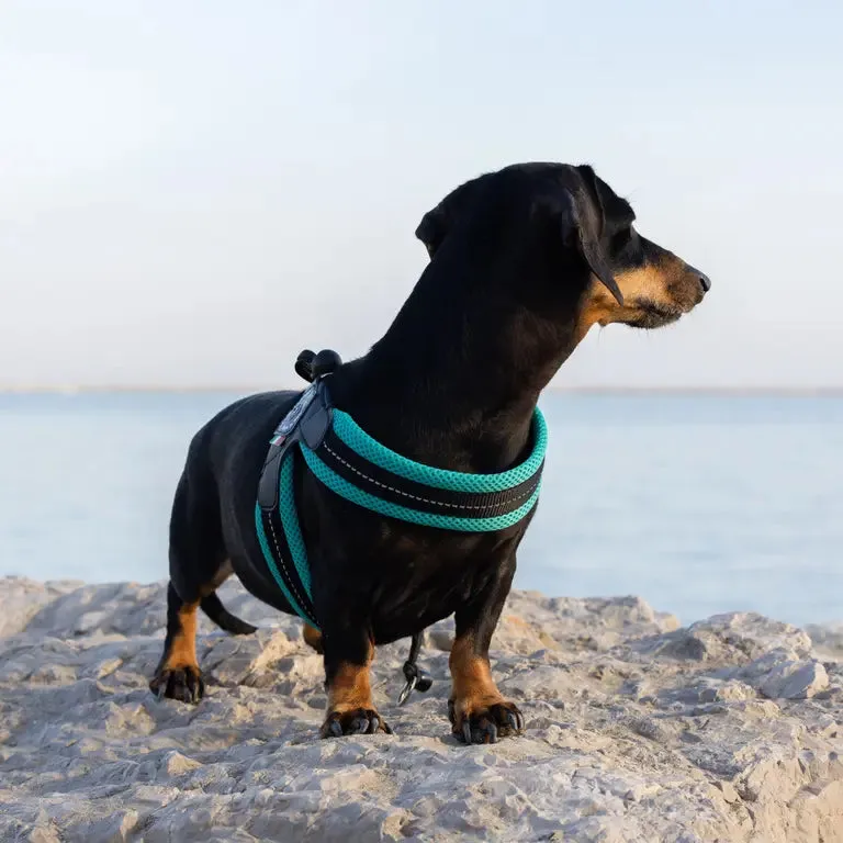 Tre Ponti Easy Fit Mesh hundesele sort str. 2 refleks