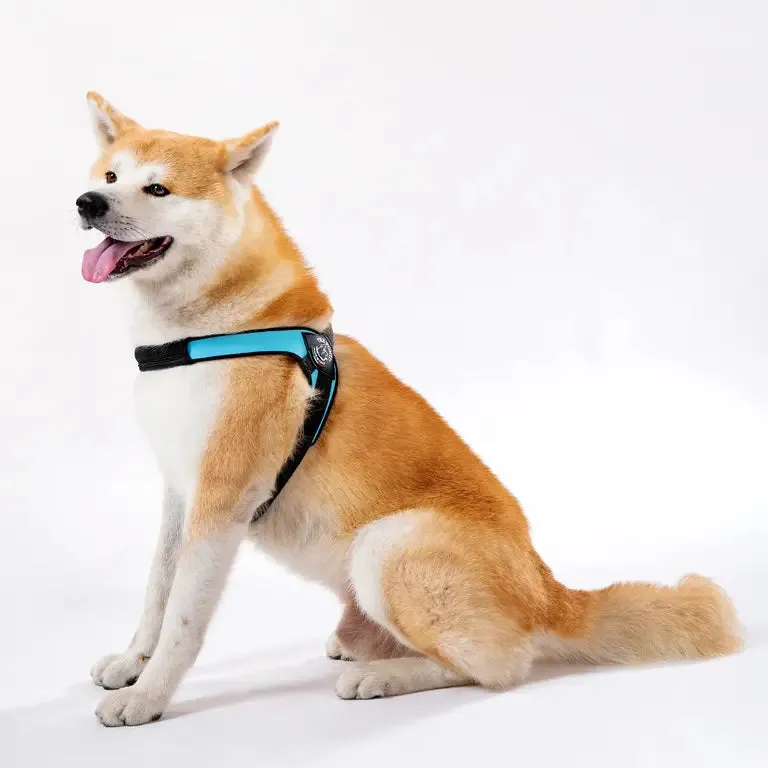 Tre Ponti Brio hundesele Black stor justerbar