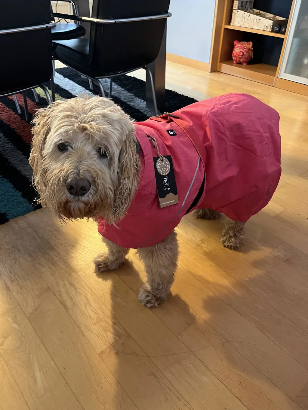 Hurtta Expedition Parka II hundejakke forest foret