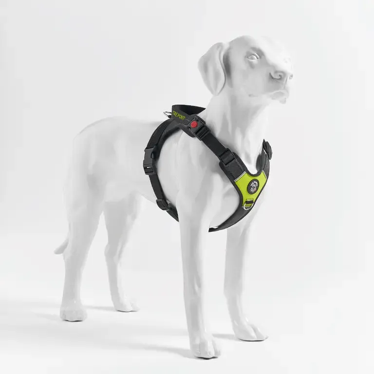 Tre Ponti Harmonia selesæt hundesele + line XL