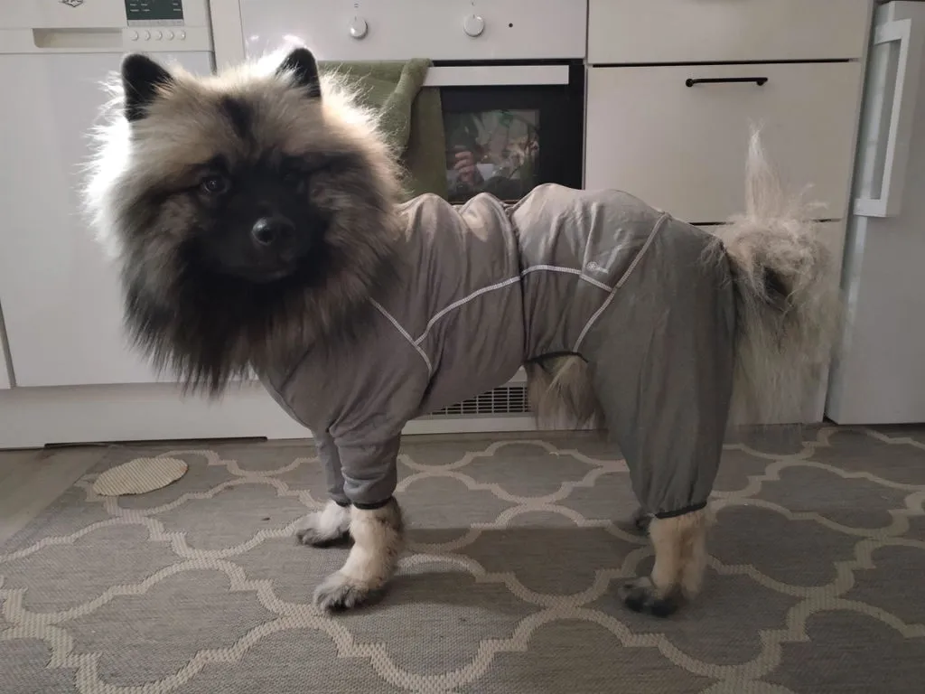Hurtta Body Warmer hundeoverall Carbon Grey 40M isolerende
