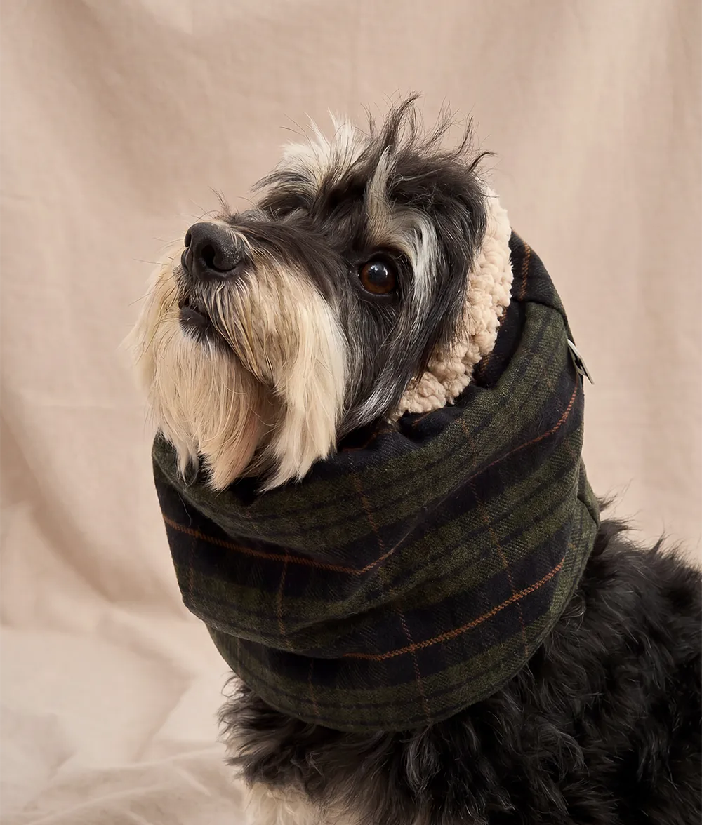 Cafide Olga snood til hund grøn tartan