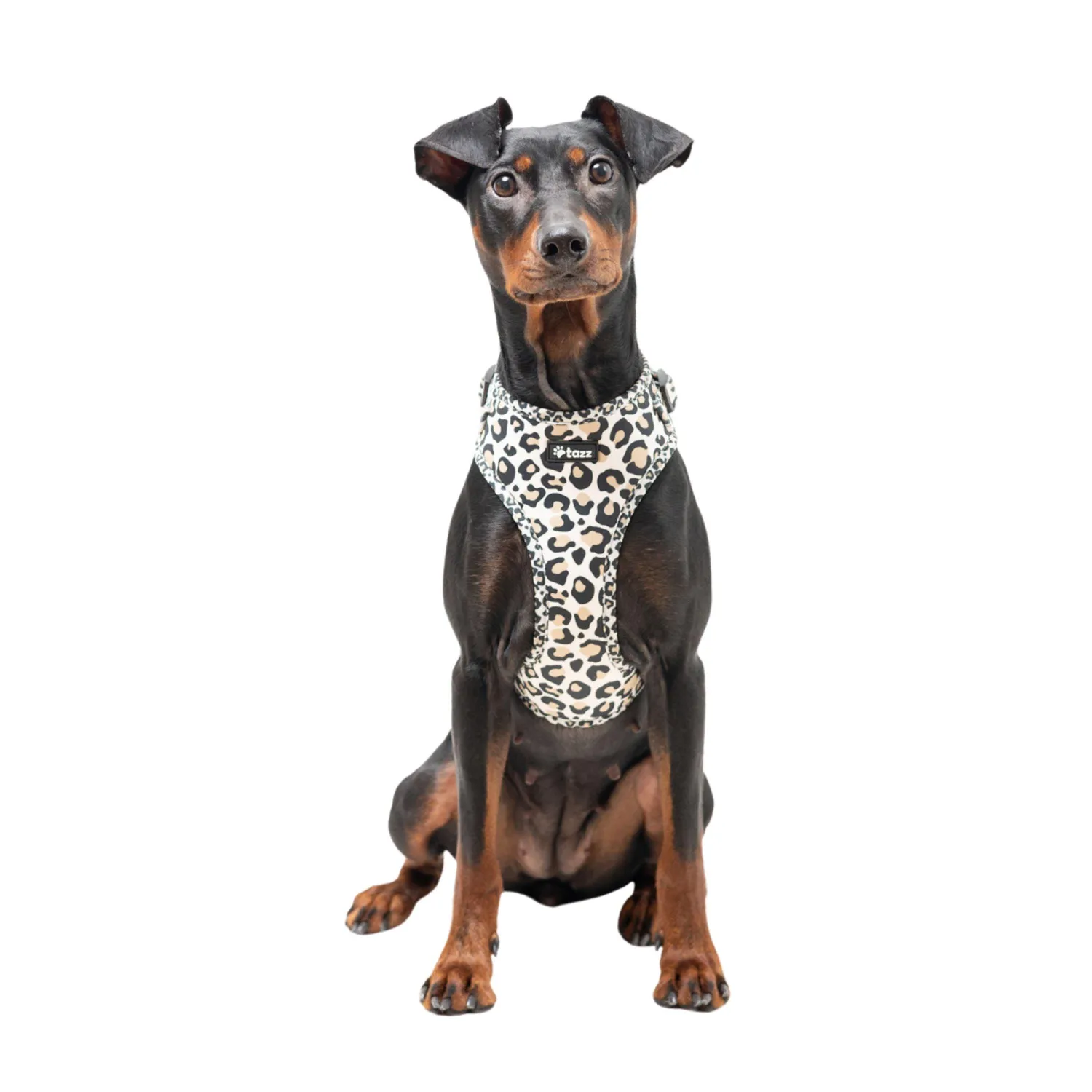 Tazz Just Leo hundesele beige leo