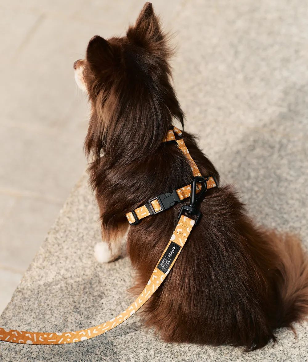 Cafide Juno Memphis hundesele sennep