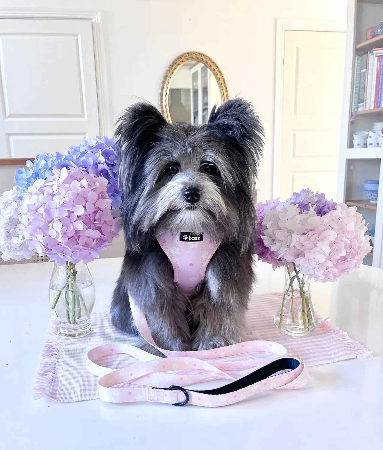 Tazz Pink Flower hundesele lyserød blomstret justerbar