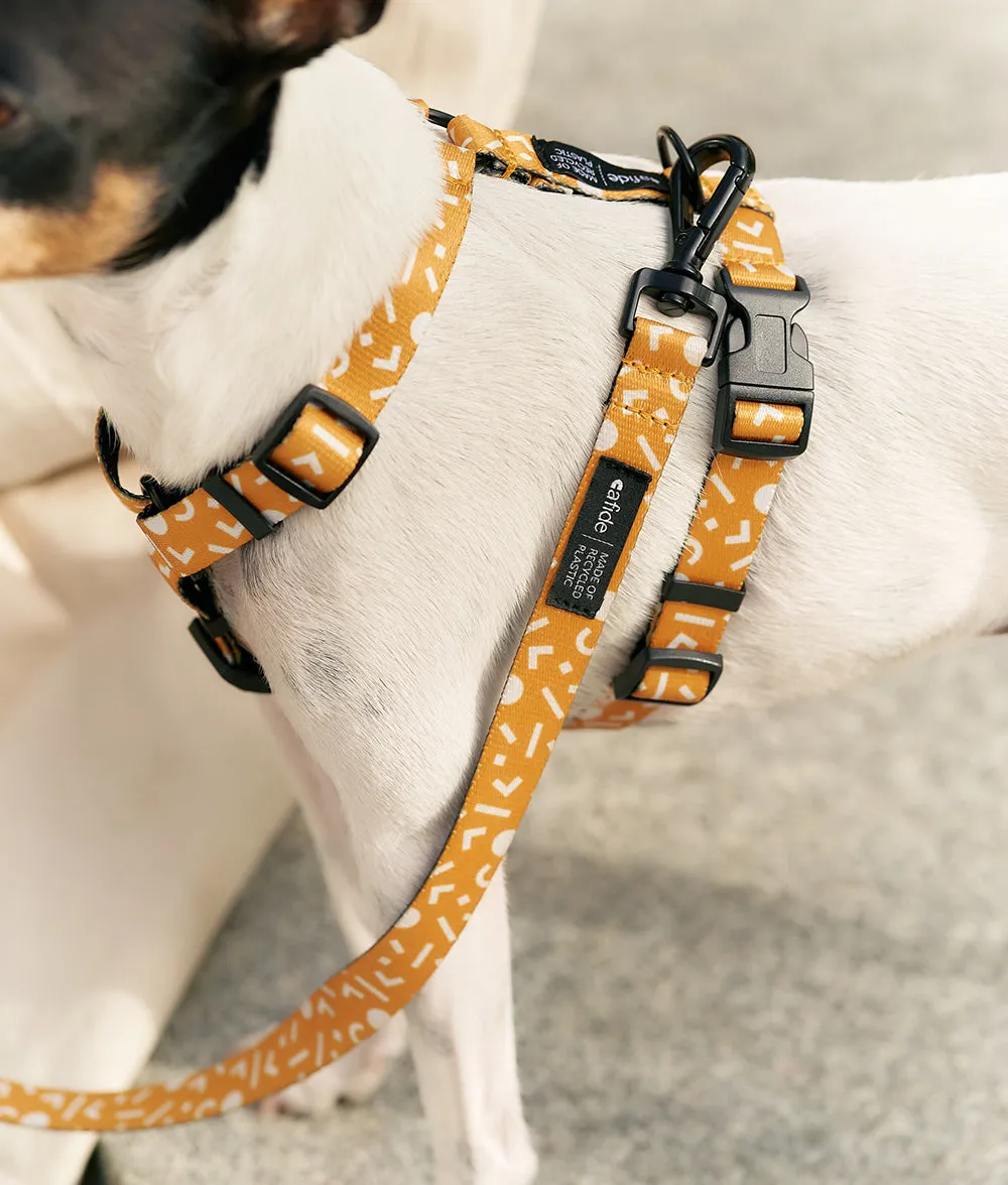 Cafide Juno Memphis Mustard hundesnor 1,2 m sennep mønster